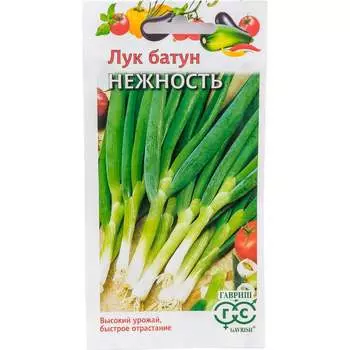 Семена ГАВРИШ 1071856552