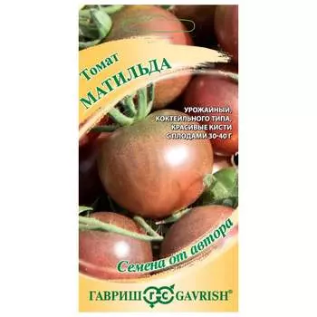 Семена ГАВРИШ 1071856697