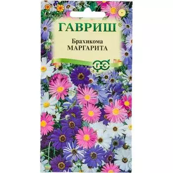 Семена ГАВРИШ 1071856824