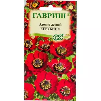 Семена ГАВРИШ 1071856835