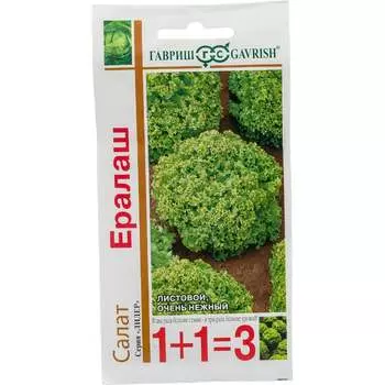 Семена ГАВРИШ 1071857091