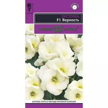 Семена ГАВРИШ 1071857434