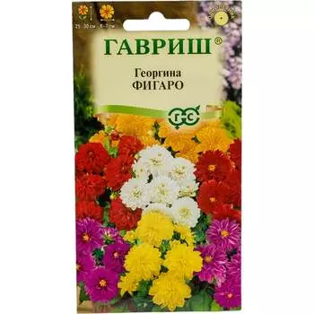 Семена ГАВРИШ 1071857500