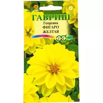 Семена ГАВРИШ 1071857503