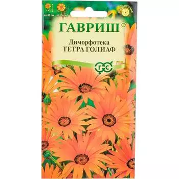 Семена ГАВРИШ 1071857670