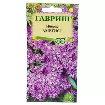 Семена ГАВРИШ 1071857688