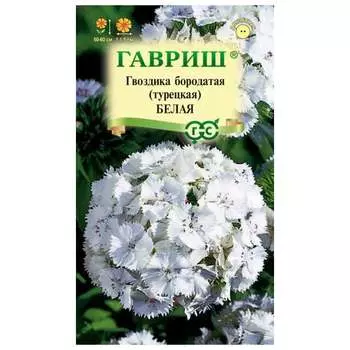 Семена ГАВРИШ 1071857771