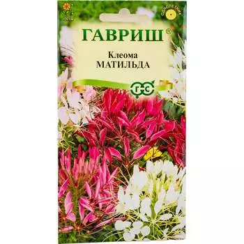 Семена ГАВРИШ 1071858788