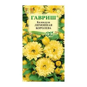 Семена ГАВРИШ 1071859872