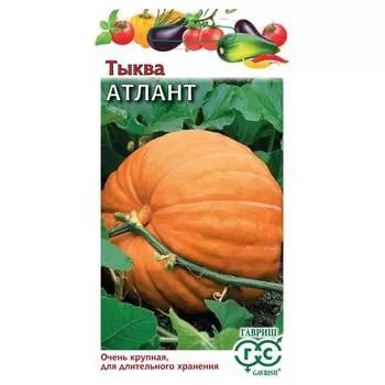 Семена ГАВРИШ 1071859909