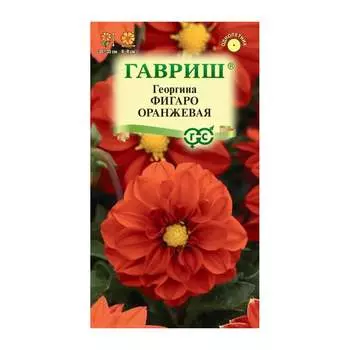 Семена ГАВРИШ 1071860790