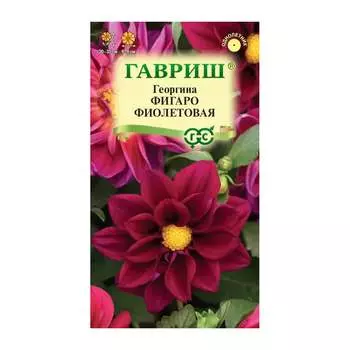 Семена ГАВРИШ 1071860791