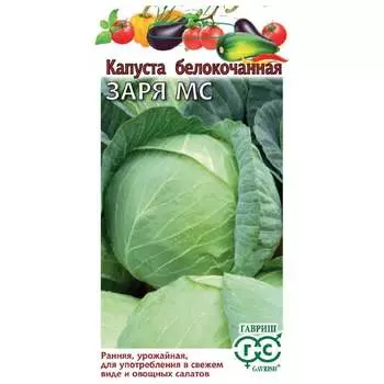 Семена ГАВРИШ 1071862951