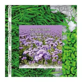 Семена ГАВРИШ 1081861904