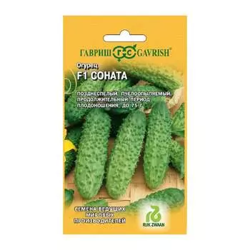 Семена ГАВРИШ 11000453