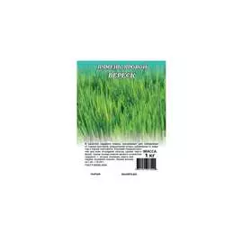 Семена ГАВРИШ