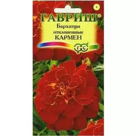 Семена ГАВРИШ Бархатцы Кармен Тагетес 002750