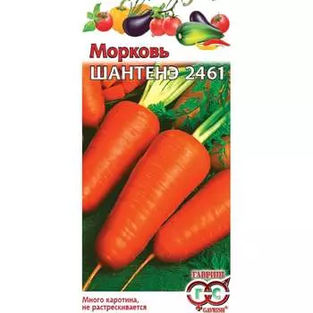 Семена ГАВРИШ 166