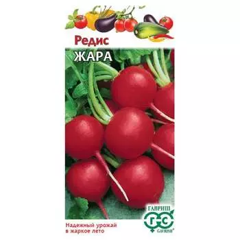 Семена ГАВРИШ 169