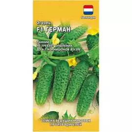 Семена ГАВРИШ Огурец Герман F1 корнишон Голландия 191224112