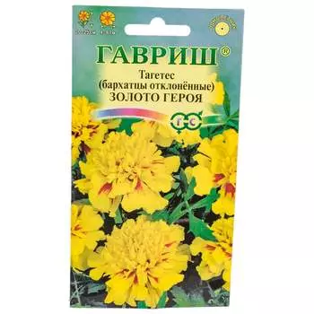 Семена ГАВРИШ 19102068