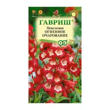 Семена ГАВРИШ 19102069