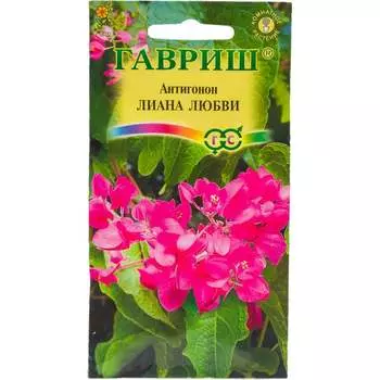 Семена ГАВРИШ 191021341