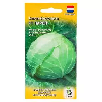 Семена ГАВРИШ 1910213613