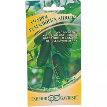 Семена ГАВРИШ 1910214007