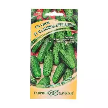 Семена ГАВРИШ 1910214010