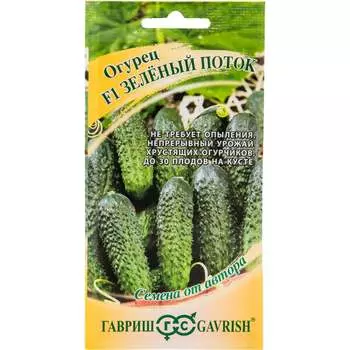 Семена ГАВРИШ 1910214016