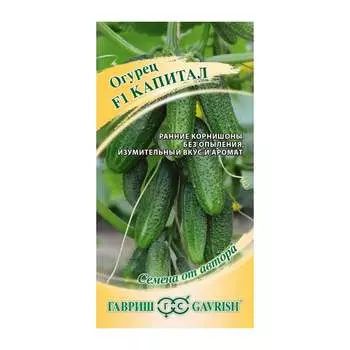 Семена ГАВРИШ 1911844