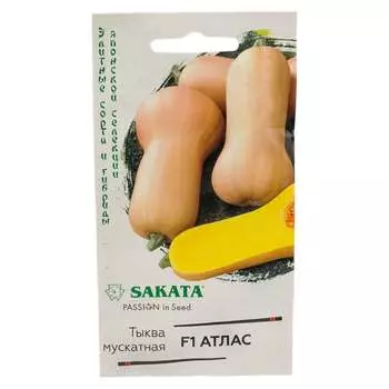 Семена ГАВРИШ 1912236346