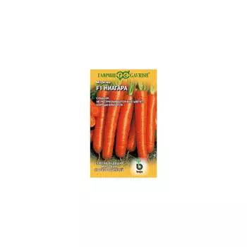 Семена ГАВРИШ 191224093