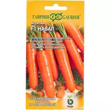 Семена ГАВРИШ 191224100