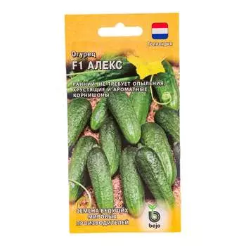 Семена ГАВРИШ 191224109