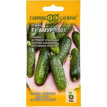 Семена ГАВРИШ 191224110