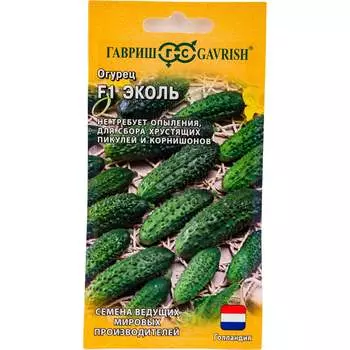 Семена ГАВРИШ 191224118