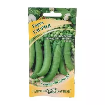 Семена ГАВРИШ 191225038