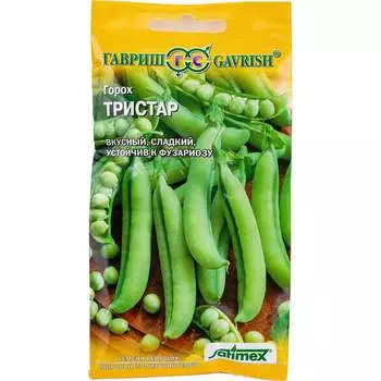 Семена ГАВРИШ 199950089