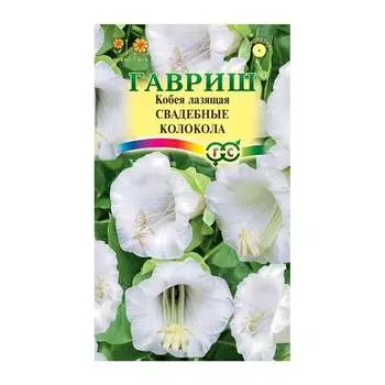 Семена ГАВРИШ 4601908