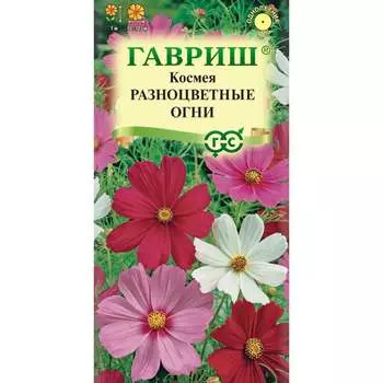 Семена ГАВРИШ 1302