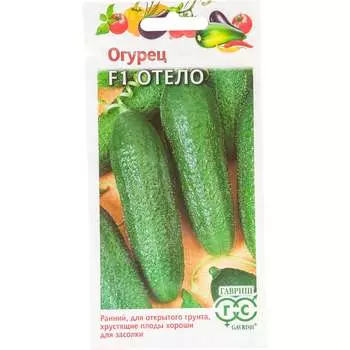 Семена ГАВРИШ 10006311