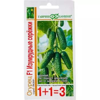 Семена ГАВРИШ