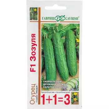 Семена ГАВРИШ