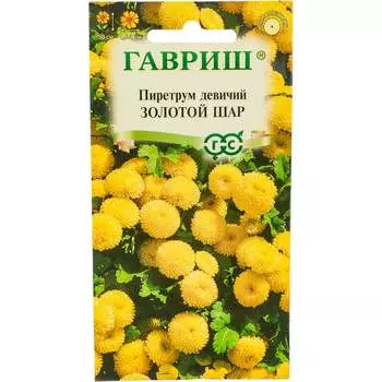 Семена ГАВРИШ