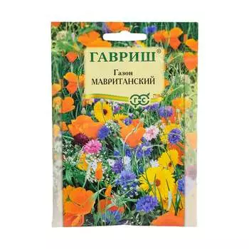 Семена ГАВРИШ