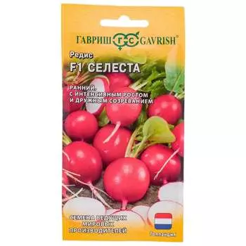 Семена ГАВРИШ