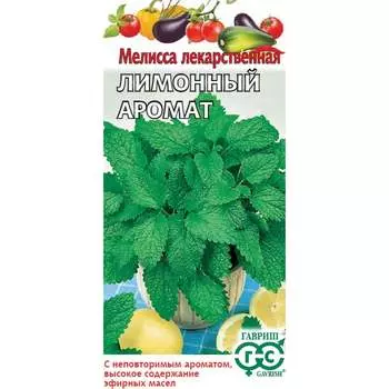 Семена ГАВРИШ 191223212