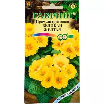 Семена ГАВРИШ